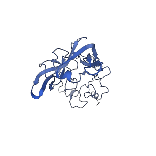 26035_7toq_AL02_v1-1
Mammalian 80S ribosome bound with the ALS/FTD-associated dipeptide repeat protein poly-PR