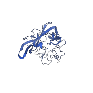 26035_7toq_AL02_v1-2
Mammalian 80S ribosome bound with the ALS/FTD-associated dipeptide repeat protein poly-PR