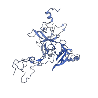 26035_7toq_AL03_v1-2
Mammalian 80S ribosome bound with the ALS/FTD-associated dipeptide repeat protein poly-PR