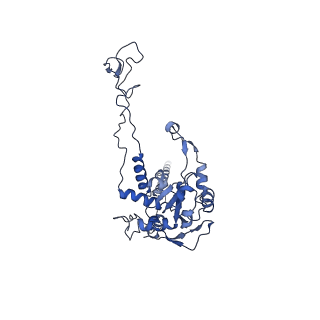 26035_7toq_AL04_v1-1
Mammalian 80S ribosome bound with the ALS/FTD-associated dipeptide repeat protein poly-PR