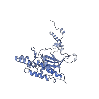 26035_7toq_AL05_v1-2
Mammalian 80S ribosome bound with the ALS/FTD-associated dipeptide repeat protein poly-PR