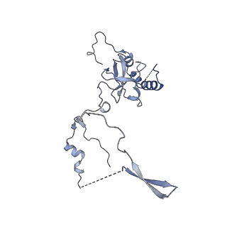 26035_7toq_AL06_v1-1
Mammalian 80S ribosome bound with the ALS/FTD-associated dipeptide repeat protein poly-PR