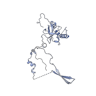 26035_7toq_AL06_v1-2
Mammalian 80S ribosome bound with the ALS/FTD-associated dipeptide repeat protein poly-PR