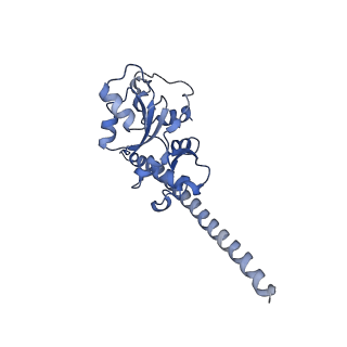 26035_7toq_AL07_v1-2
Mammalian 80S ribosome bound with the ALS/FTD-associated dipeptide repeat protein poly-PR