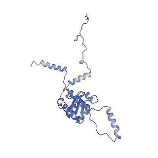 26035_7toq_AL08_v1-1
Mammalian 80S ribosome bound with the ALS/FTD-associated dipeptide repeat protein poly-PR