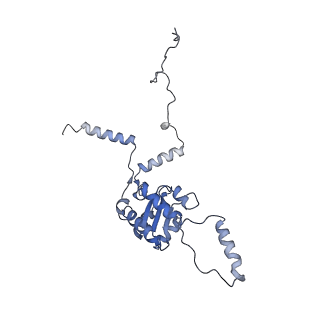 26035_7toq_AL08_v1-2
Mammalian 80S ribosome bound with the ALS/FTD-associated dipeptide repeat protein poly-PR