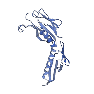 26035_7toq_AL09_v1-1
Mammalian 80S ribosome bound with the ALS/FTD-associated dipeptide repeat protein poly-PR