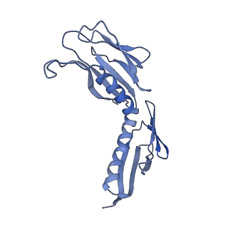 26035_7toq_AL09_v1-2
Mammalian 80S ribosome bound with the ALS/FTD-associated dipeptide repeat protein poly-PR