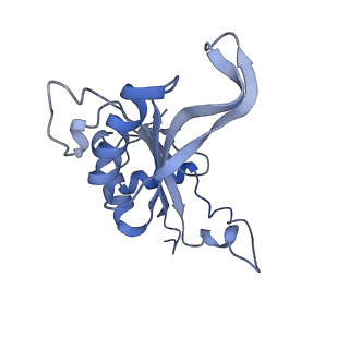 26035_7toq_AL11_v1-1
Mammalian 80S ribosome bound with the ALS/FTD-associated dipeptide repeat protein poly-PR