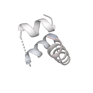 26035_7toq_AL12_v1-1
Mammalian 80S ribosome bound with the ALS/FTD-associated dipeptide repeat protein poly-PR