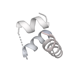 26035_7toq_AL12_v1-2
Mammalian 80S ribosome bound with the ALS/FTD-associated dipeptide repeat protein poly-PR