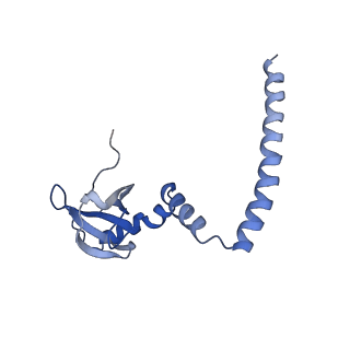 26035_7toq_AL14_v1-1
Mammalian 80S ribosome bound with the ALS/FTD-associated dipeptide repeat protein poly-PR