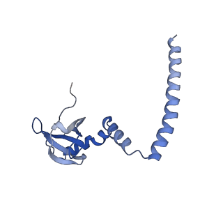 26035_7toq_AL14_v1-2
Mammalian 80S ribosome bound with the ALS/FTD-associated dipeptide repeat protein poly-PR