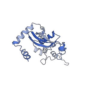 26035_7toq_AL15_v1-1
Mammalian 80S ribosome bound with the ALS/FTD-associated dipeptide repeat protein poly-PR