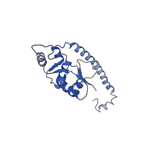 26035_7toq_AL16_v1-2
Mammalian 80S ribosome bound with the ALS/FTD-associated dipeptide repeat protein poly-PR