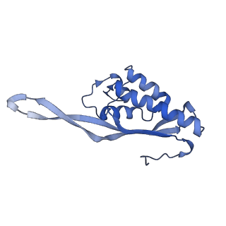 26035_7toq_AL17_v1-1
Mammalian 80S ribosome bound with the ALS/FTD-associated dipeptide repeat protein poly-PR