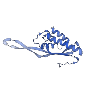 26035_7toq_AL17_v1-2
Mammalian 80S ribosome bound with the ALS/FTD-associated dipeptide repeat protein poly-PR