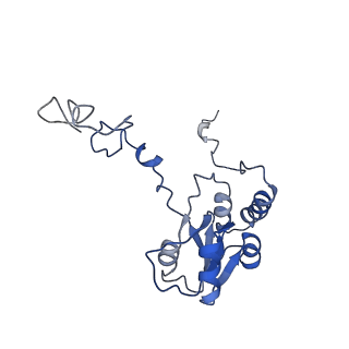 26035_7toq_AL18_v1-2
Mammalian 80S ribosome bound with the ALS/FTD-associated dipeptide repeat protein poly-PR