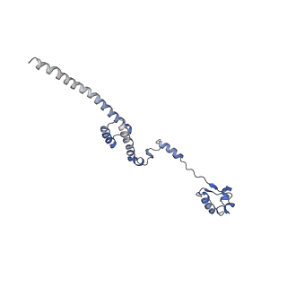 26035_7toq_AL19_v1-1
Mammalian 80S ribosome bound with the ALS/FTD-associated dipeptide repeat protein poly-PR