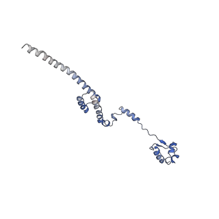 26035_7toq_AL19_v1-2
Mammalian 80S ribosome bound with the ALS/FTD-associated dipeptide repeat protein poly-PR