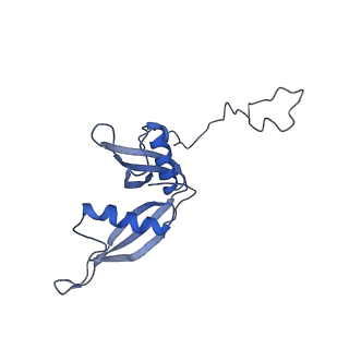 26035_7toq_AL20_v1-2
Mammalian 80S ribosome bound with the ALS/FTD-associated dipeptide repeat protein poly-PR