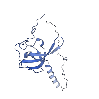 26035_7toq_AL21_v1-1
Mammalian 80S ribosome bound with the ALS/FTD-associated dipeptide repeat protein poly-PR