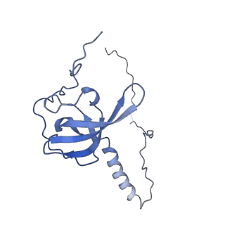 26035_7toq_AL21_v1-2
Mammalian 80S ribosome bound with the ALS/FTD-associated dipeptide repeat protein poly-PR