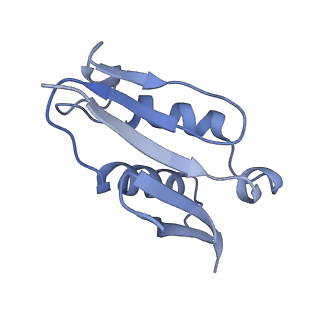 26035_7toq_AL22_v1-1
Mammalian 80S ribosome bound with the ALS/FTD-associated dipeptide repeat protein poly-PR