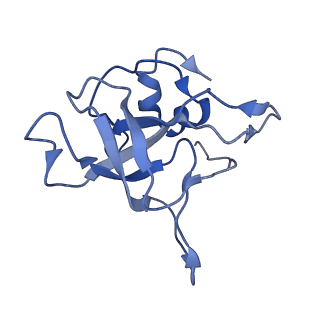 26035_7toq_AL23_v1-1
Mammalian 80S ribosome bound with the ALS/FTD-associated dipeptide repeat protein poly-PR