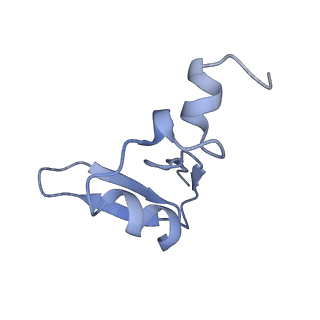 26035_7toq_AL24_v1-1
Mammalian 80S ribosome bound with the ALS/FTD-associated dipeptide repeat protein poly-PR