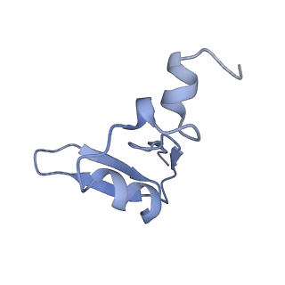 26035_7toq_AL24_v1-2
Mammalian 80S ribosome bound with the ALS/FTD-associated dipeptide repeat protein poly-PR