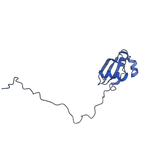 26035_7toq_AL25_v1-1
Mammalian 80S ribosome bound with the ALS/FTD-associated dipeptide repeat protein poly-PR
