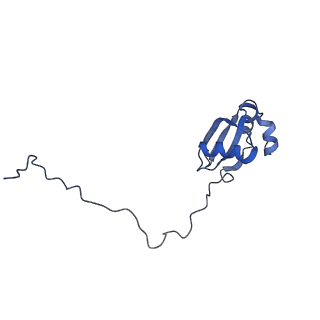 26035_7toq_AL25_v1-2
Mammalian 80S ribosome bound with the ALS/FTD-associated dipeptide repeat protein poly-PR