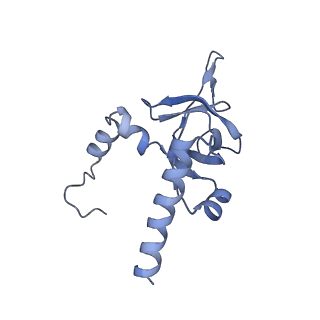 26035_7toq_AL26_v1-1
Mammalian 80S ribosome bound with the ALS/FTD-associated dipeptide repeat protein poly-PR