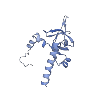 26035_7toq_AL26_v1-2
Mammalian 80S ribosome bound with the ALS/FTD-associated dipeptide repeat protein poly-PR