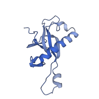 26035_7toq_AL27_v1-1
Mammalian 80S ribosome bound with the ALS/FTD-associated dipeptide repeat protein poly-PR