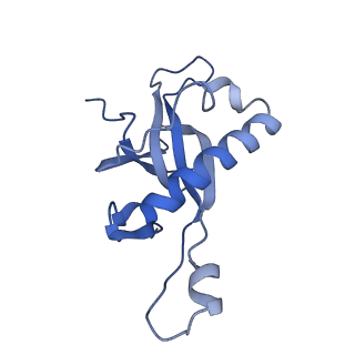 26035_7toq_AL27_v1-2
Mammalian 80S ribosome bound with the ALS/FTD-associated dipeptide repeat protein poly-PR