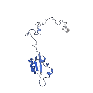 26035_7toq_AL28_v1-1
Mammalian 80S ribosome bound with the ALS/FTD-associated dipeptide repeat protein poly-PR