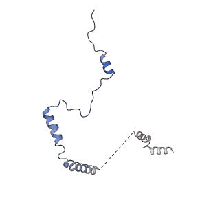 26035_7toq_AL29_v1-1
Mammalian 80S ribosome bound with the ALS/FTD-associated dipeptide repeat protein poly-PR