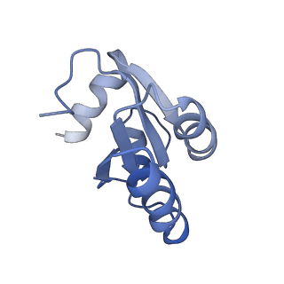 26035_7toq_AL30_v1-1
Mammalian 80S ribosome bound with the ALS/FTD-associated dipeptide repeat protein poly-PR
