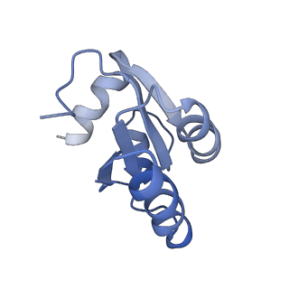 26035_7toq_AL30_v1-2
Mammalian 80S ribosome bound with the ALS/FTD-associated dipeptide repeat protein poly-PR