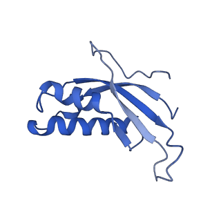 26035_7toq_AL31_v1-1
Mammalian 80S ribosome bound with the ALS/FTD-associated dipeptide repeat protein poly-PR