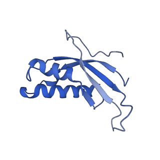 26035_7toq_AL31_v1-2
Mammalian 80S ribosome bound with the ALS/FTD-associated dipeptide repeat protein poly-PR