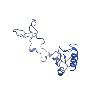26035_7toq_AL32_v1-1
Mammalian 80S ribosome bound with the ALS/FTD-associated dipeptide repeat protein poly-PR