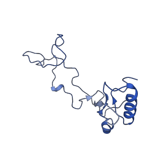 26035_7toq_AL32_v1-2
Mammalian 80S ribosome bound with the ALS/FTD-associated dipeptide repeat protein poly-PR