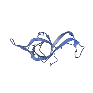 26035_7toq_AL33_v1-1
Mammalian 80S ribosome bound with the ALS/FTD-associated dipeptide repeat protein poly-PR