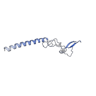 26035_7toq_AL34_v1-1
Mammalian 80S ribosome bound with the ALS/FTD-associated dipeptide repeat protein poly-PR