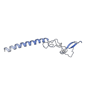 26035_7toq_AL34_v1-2
Mammalian 80S ribosome bound with the ALS/FTD-associated dipeptide repeat protein poly-PR