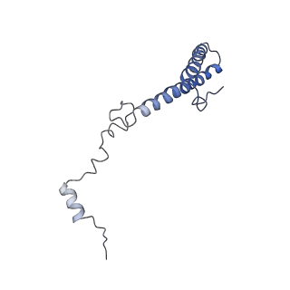 26035_7toq_AL35_v1-2
Mammalian 80S ribosome bound with the ALS/FTD-associated dipeptide repeat protein poly-PR