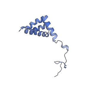 26035_7toq_AL36_v1-1
Mammalian 80S ribosome bound with the ALS/FTD-associated dipeptide repeat protein poly-PR